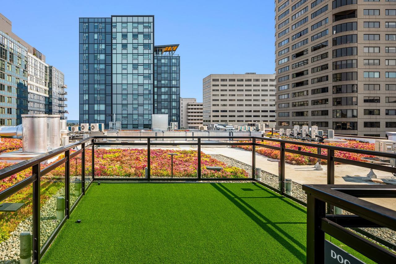 Victor Rooftop First HIll Seattle Apartments with Rooftop Dog Park / Dog Run - The Victor