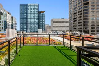 Rooftop dog run at The Victor in Seattle featuring fenced green turf area, colorful planted rooftop surroundings, and views of nearby modern high-rises.
