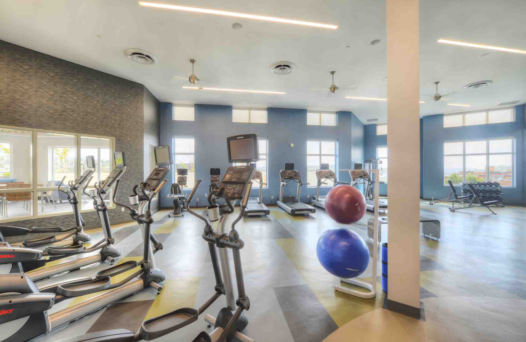 Ellipticals, free weights, benches, and stability balls in Urbana Apartments’ fitness center, shown with bright windows, mirrors, and spacious ceiling height.