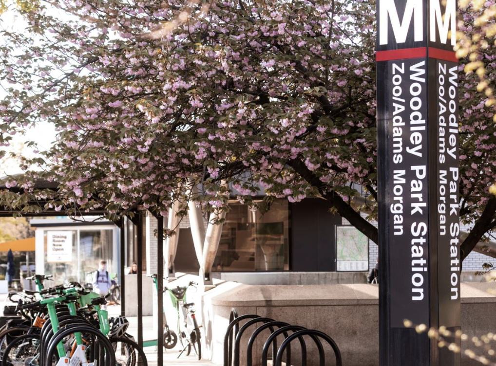 Woodley Park–Zoo/Adams Morgan Metro station sign framed by blooming cherry blossoms, with bike racks and shared bikes in the foreground near the station entrance.