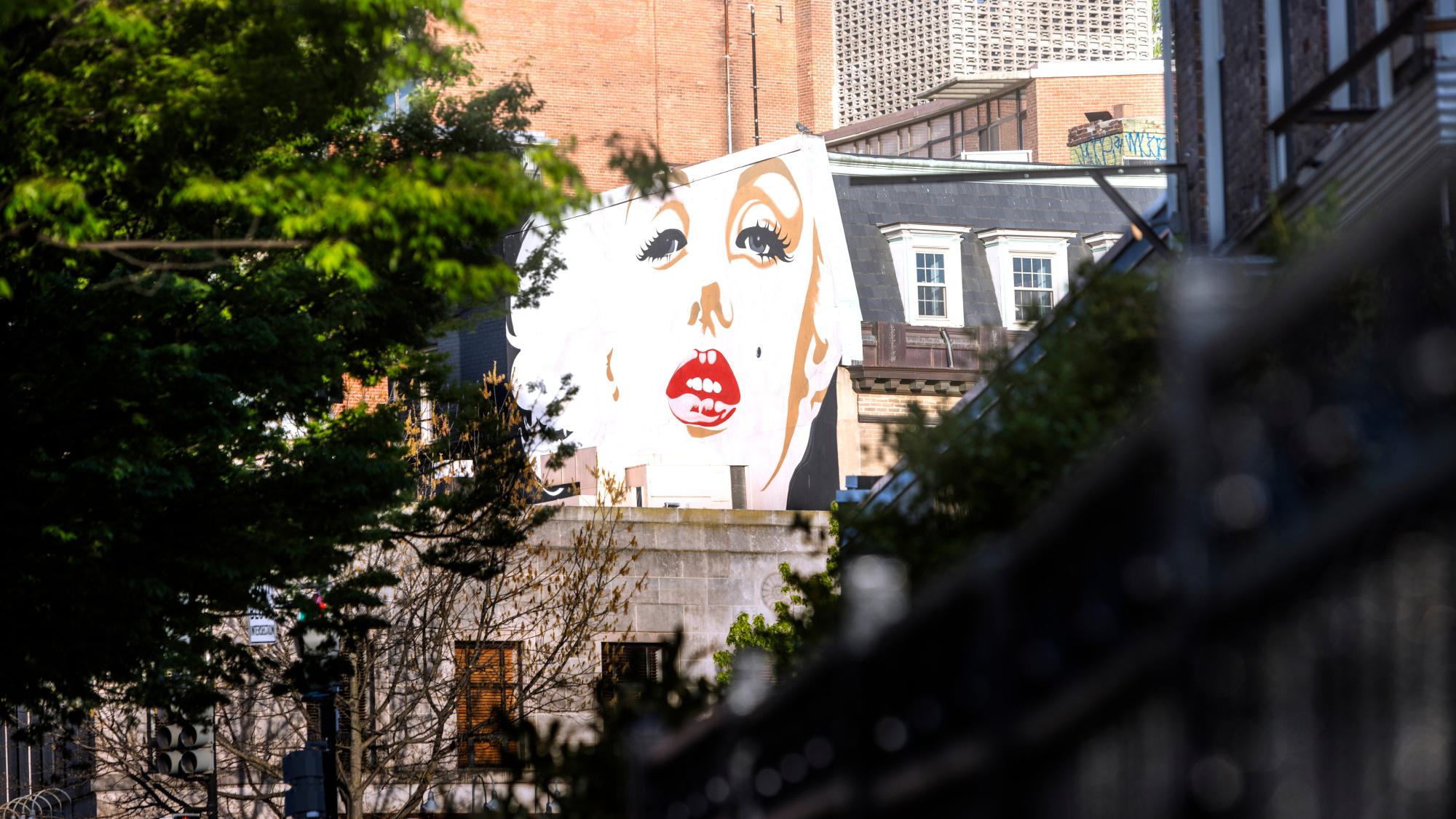 The Marilyn Monroe mural peeks through leafy trees and rooftops in Woodley Park, its bold pop-art face standing out against surrounding historic buildings.