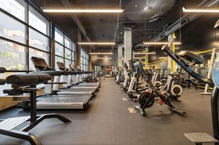 Row of treadmills and cardio machines inside the Fourth Street East fitness center, with tall industrial windows, high ceilings, exposed ductwork, and modern lighting.