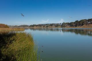 Lake Merced
