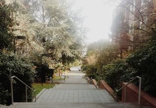 stairs near green landscaping at seattle university