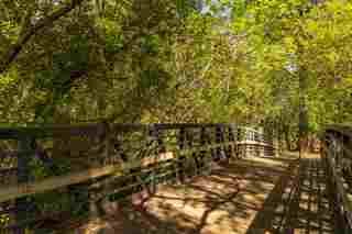 nature trail near Belmont ca
