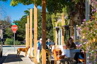 Sidewalk café dining along a tree-lined street, with people seated at outdoor tables under wooden posts and string lights, a dog waiting nearby, and a four-way stop at the corner.