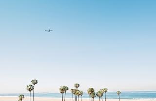 westside la near lax with plane overhead against blue sky and palms
