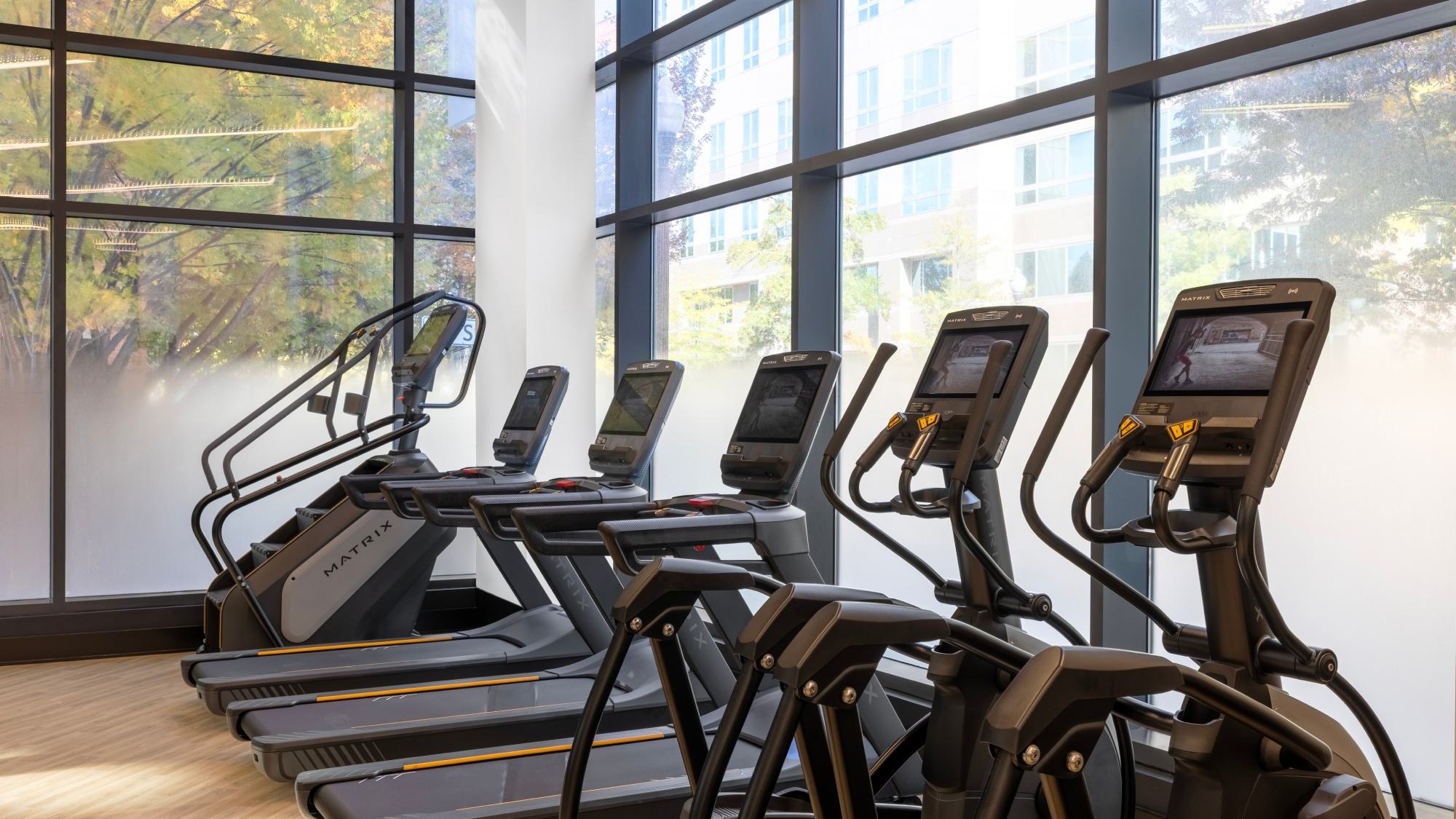 row of professional Matrix cardio machines, including treadmills and ellipticals with integrated screens, positioned in front of floor-to-ceiling windows with frosted privacy film.