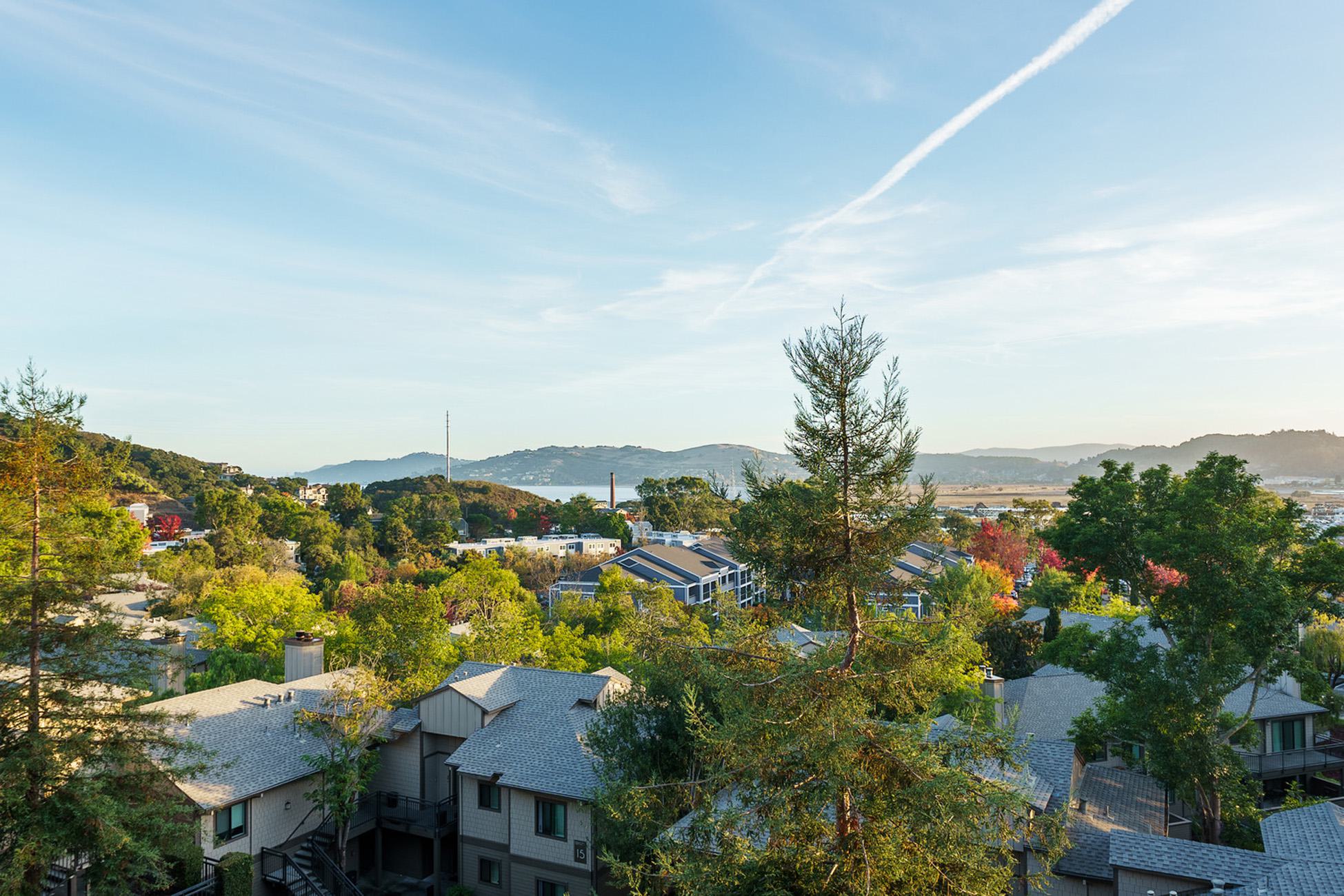 An elevated scenic view overlooking residential rooftops, dense green trees, and distant water and hills under a blue sky.