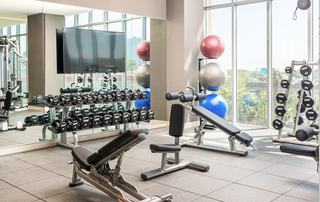 high-end strength training area featuring a full rack of Troy rubber hex dumbbells, multiple Life Fitness adjustable benches, and stability balls, set against large floor-to-ceiling windows with a city view.