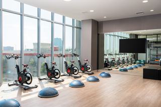A sun-drenched, wood-floored yoga and spin studio featuring a row of LifeCycle indoor bikes and several blue Bosu balance trainers arranged in front of expansive windows.