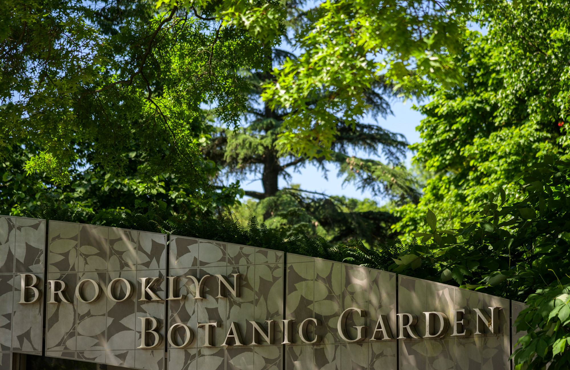 A close-up of the modern Brooklyn Botanic Garden entrance sign, featuring raised metallic lettering against a patterned backdrop of leaf silhouettes, framed by lush green tree branches and bright sunlight.