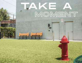 Private off-leash dog park at VOX with turf, bone-shaped benches, and a red fire hydrant.