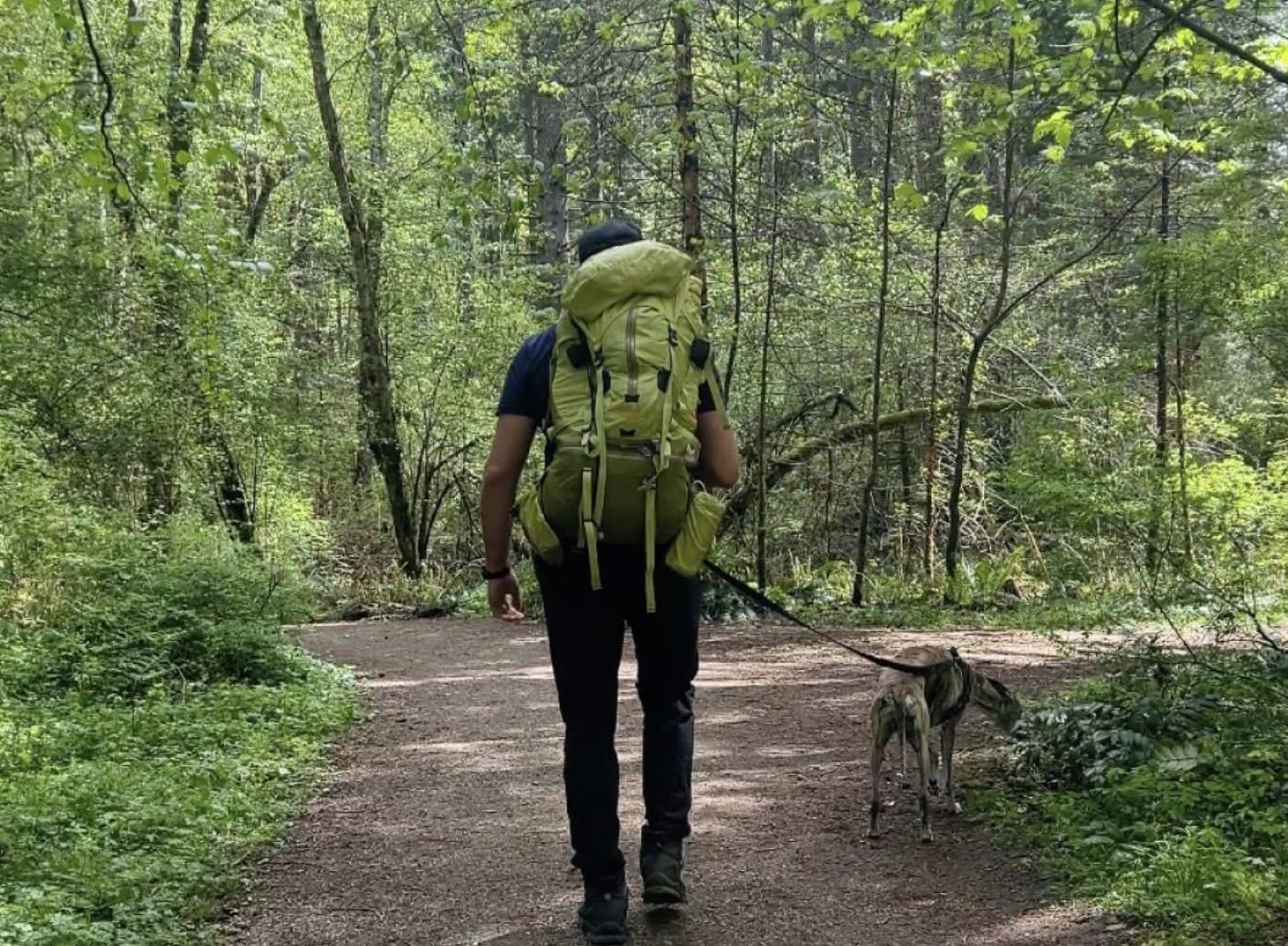 A person seen from behind walks down a dirt trail in a lush, green forest, wearing a large, bright lime-green hiking backpack, dark pants, and a dark cap. T