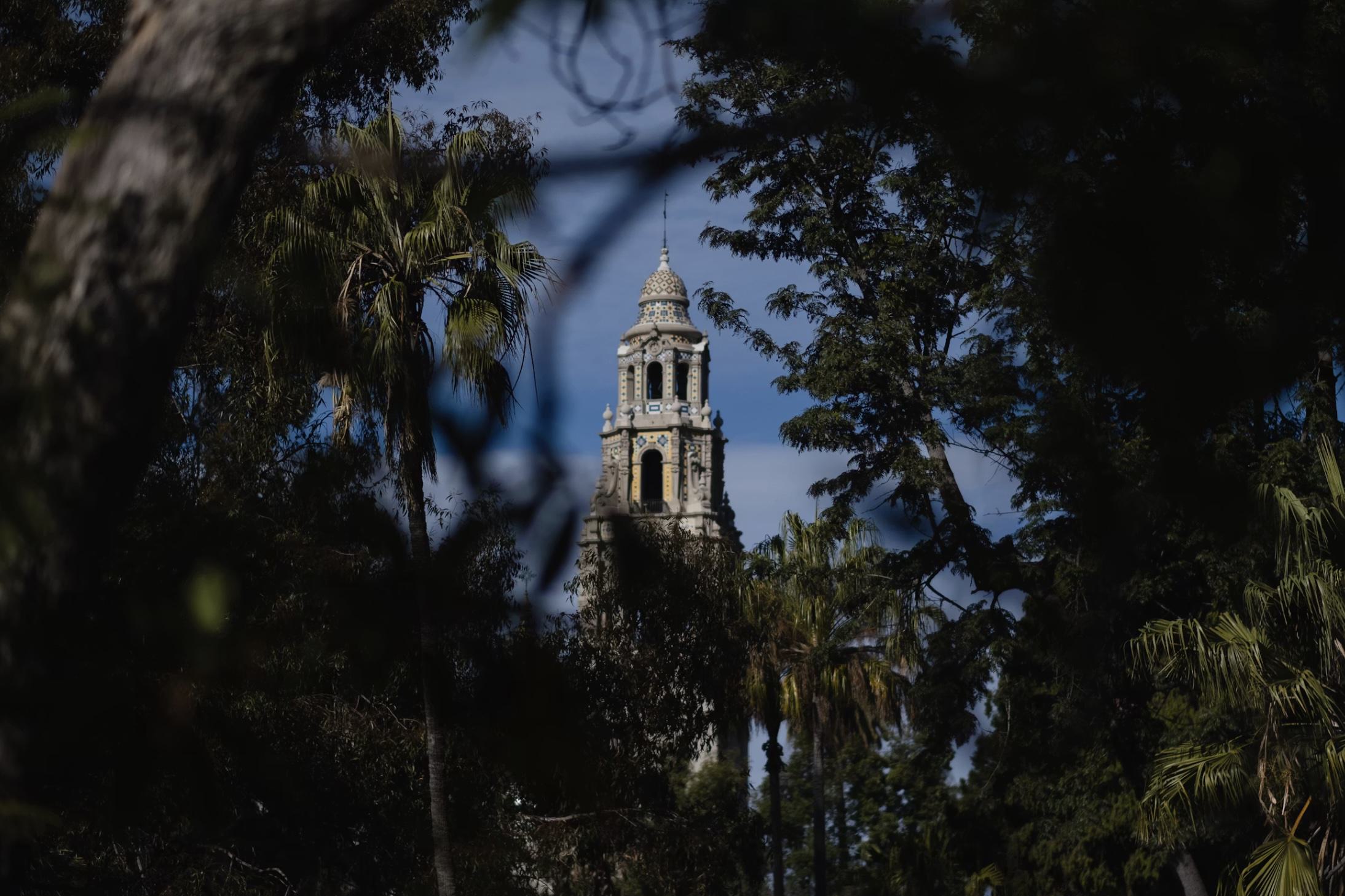 The ornate California Tower in Balboa Park, framed closely by lush green trees and tropical palm fronds under a blue sky.