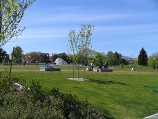 A sunny day at Cal Anderson Park featuring a wide green lawn with people relaxing, the famous cone-shaped water fountain in the background, and a bright blue sky.