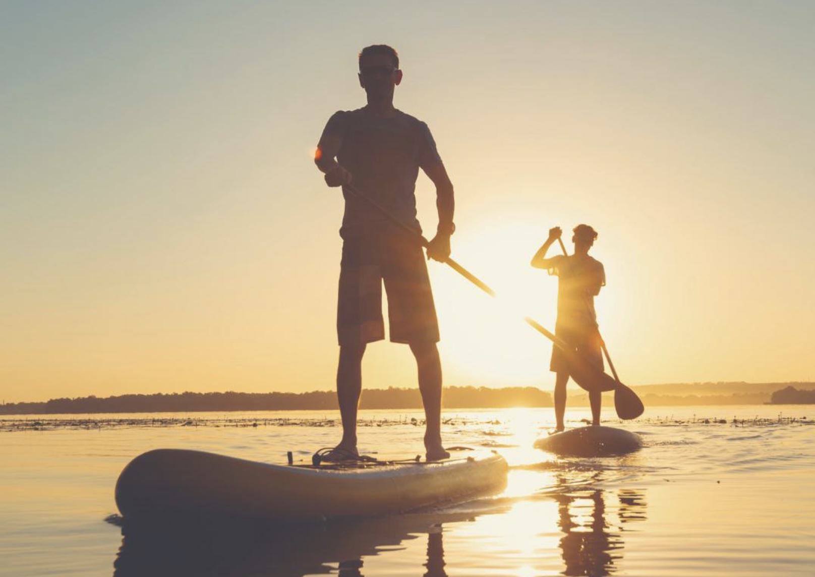 paddleboarders on the foster city lagoon, illuminated by sunset