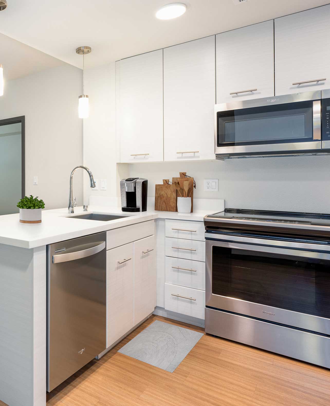 modern kitchen with high-end stainless steel appliances
