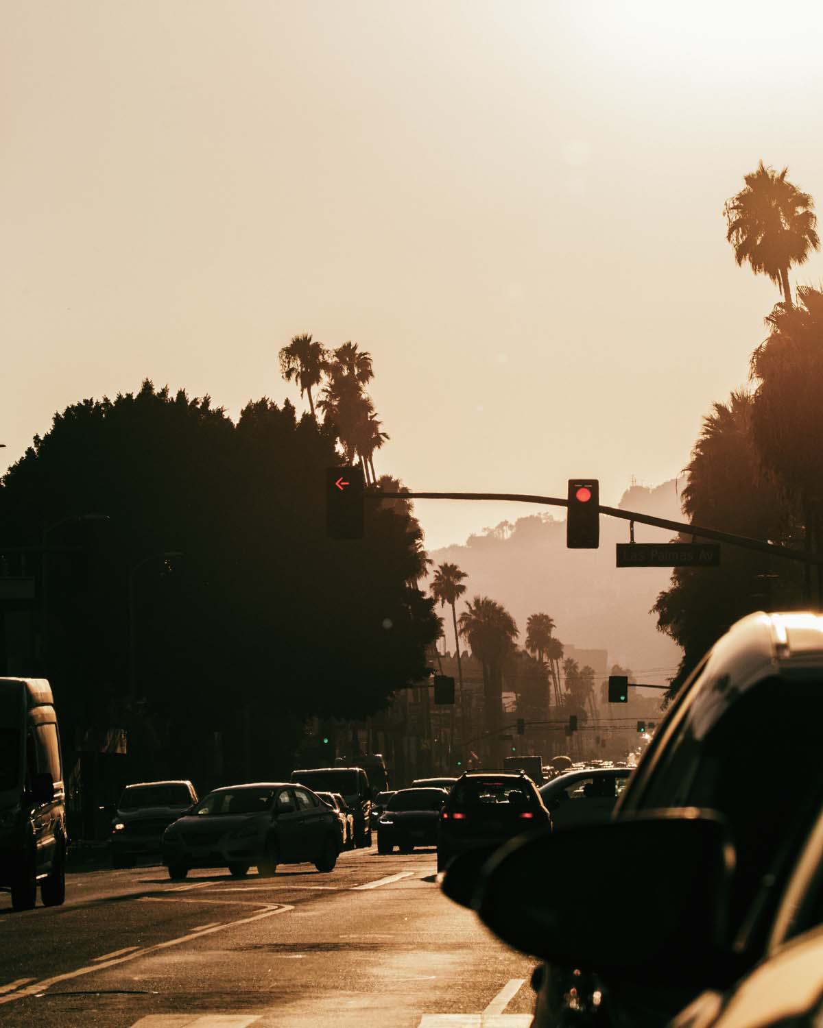 Golden hour traffic light and palm tree silhouette at the intersection of an LA boulevard