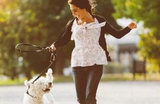 Woman walking a white dog playfully