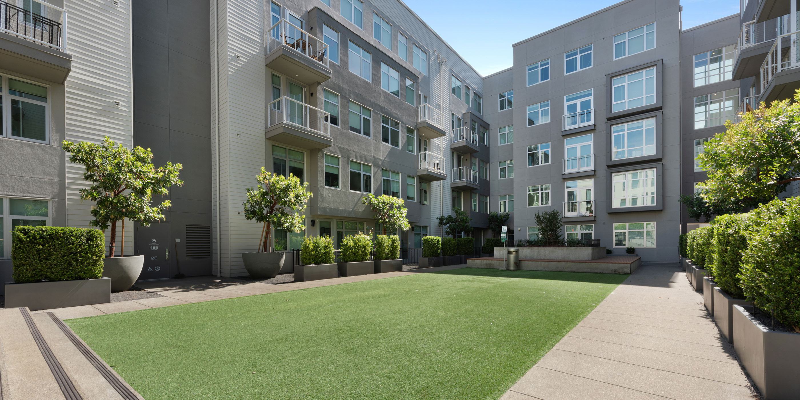 Dog park with green space at Alchemy Apartments