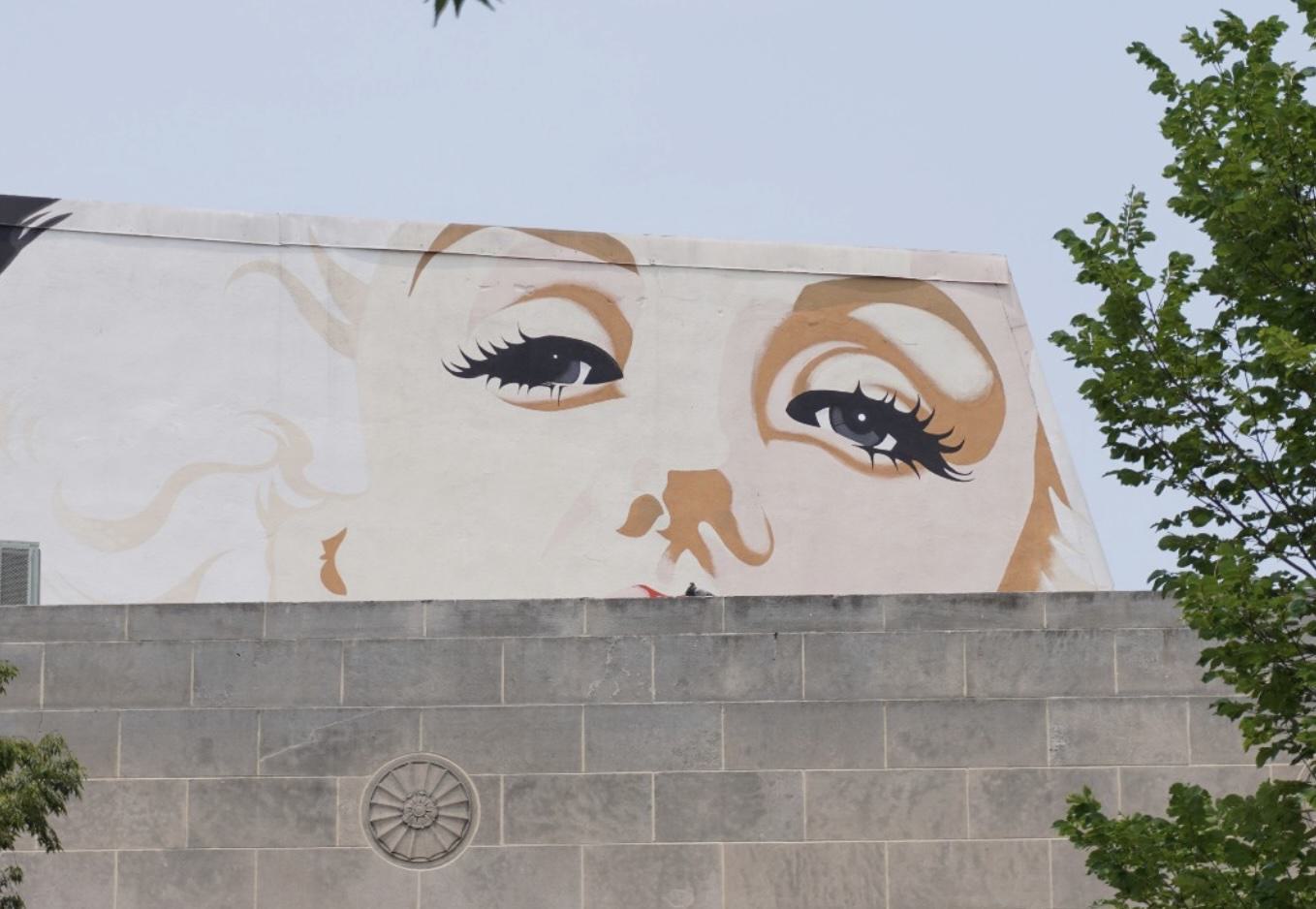 The iconic Marilyn Monroe mural in Woodley Park