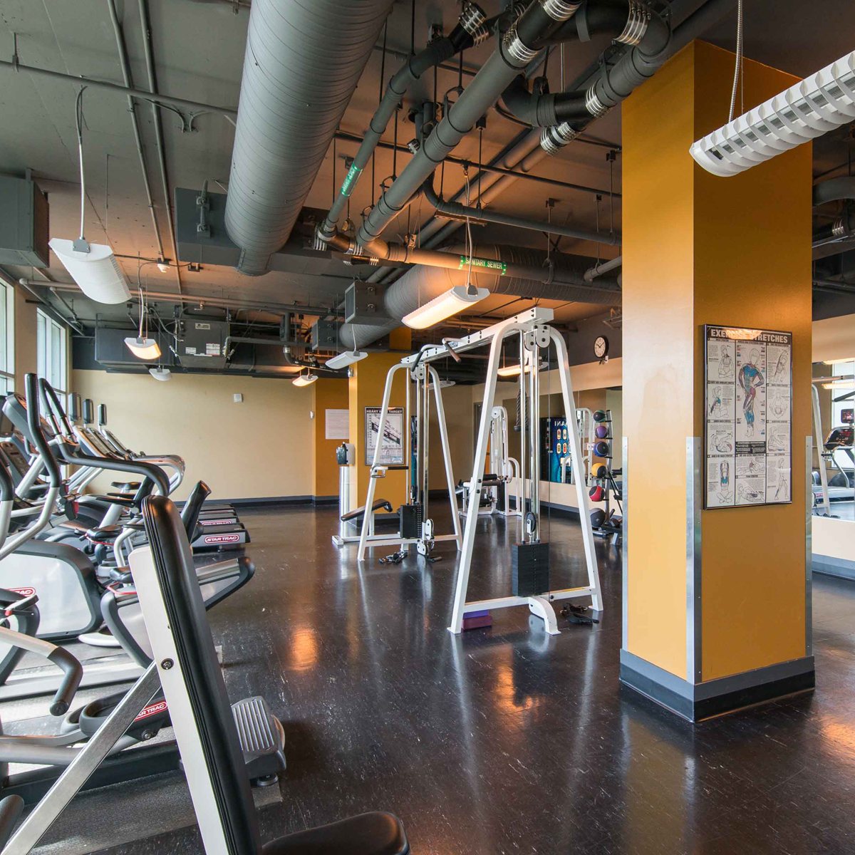 The Vue - Fitness Center