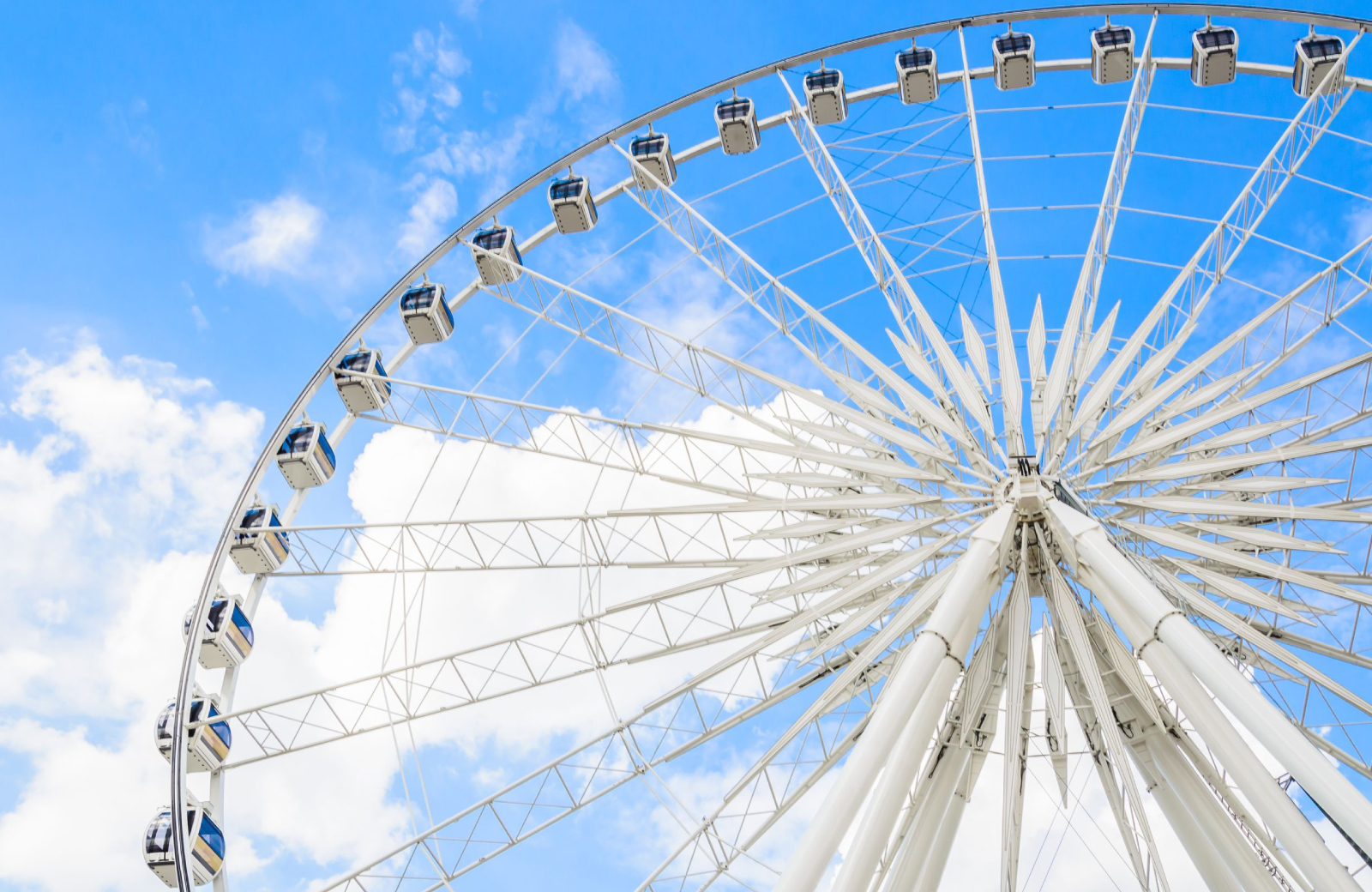 Fun and Food At The Alameda County Fair