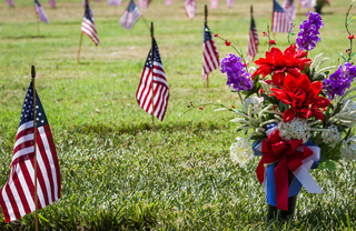 American flags on stakes in a grassy lawn