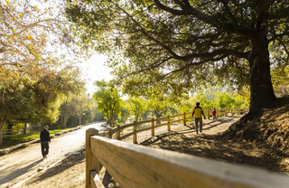 Pedestrians walking on paved and dirt trails in a park with sunlight filtered through trees
