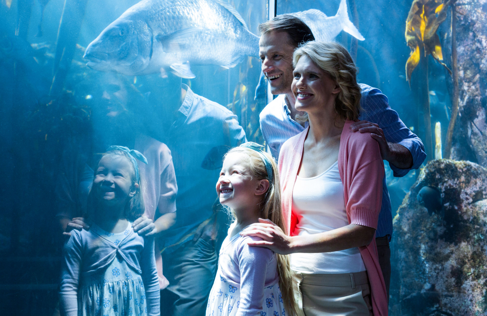 Norwalk Maritime Aquarium - The Waypointe Apts