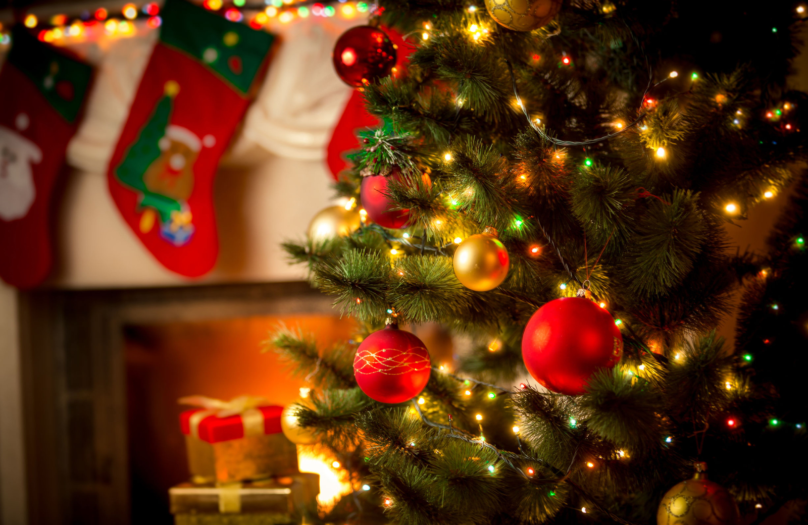 Holiday Cheer in Fairfield County - The Waypointe Apartments