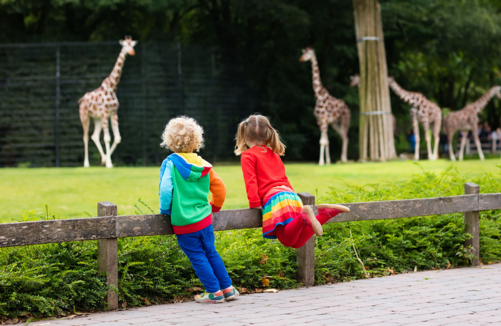 Check Out The LA Zoo Lights This Holiday Season