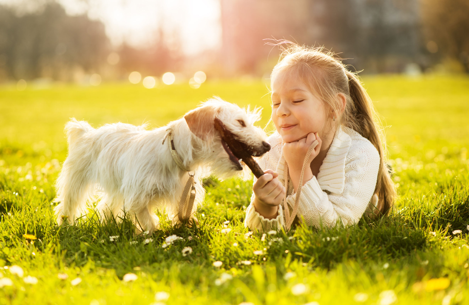 Pet Friendly Places In DTLA