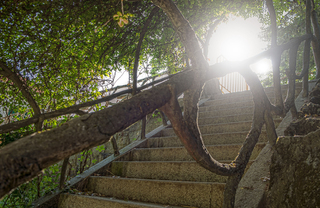 flight of stairs at the park