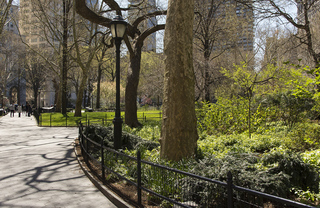 A paved walkway, trees, and a green lawn at Yorkville park