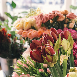 Bundles of colorful tulips at the market
