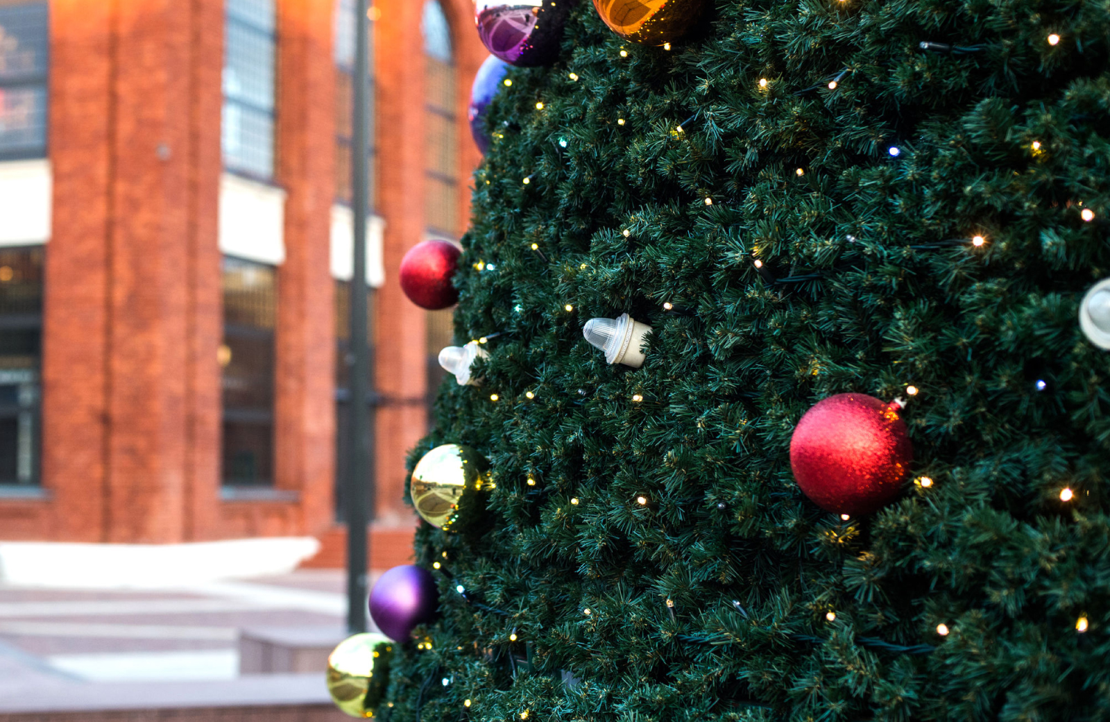 christmas tree San Pedro