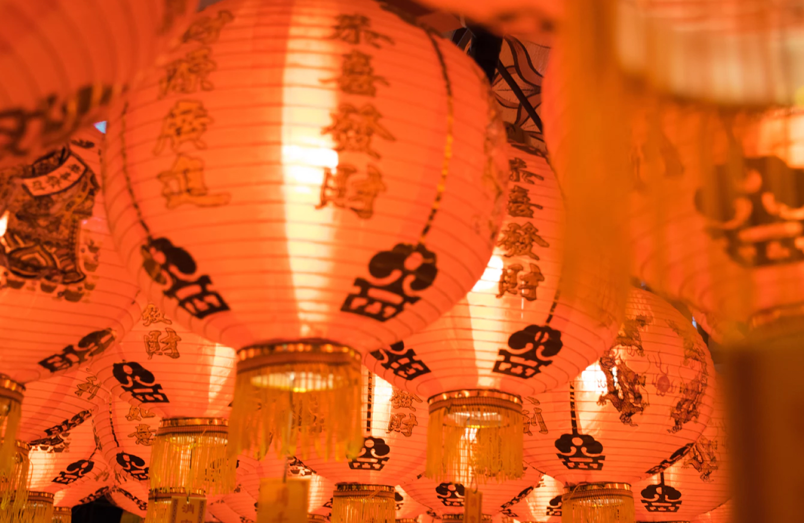 chinese dragon, celebrate the chinese new year - the Vue