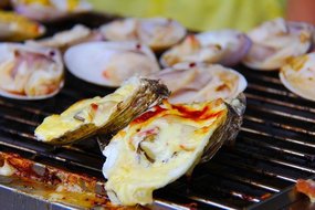 Oyster Festival Norwalk - The Waypointe Apts
