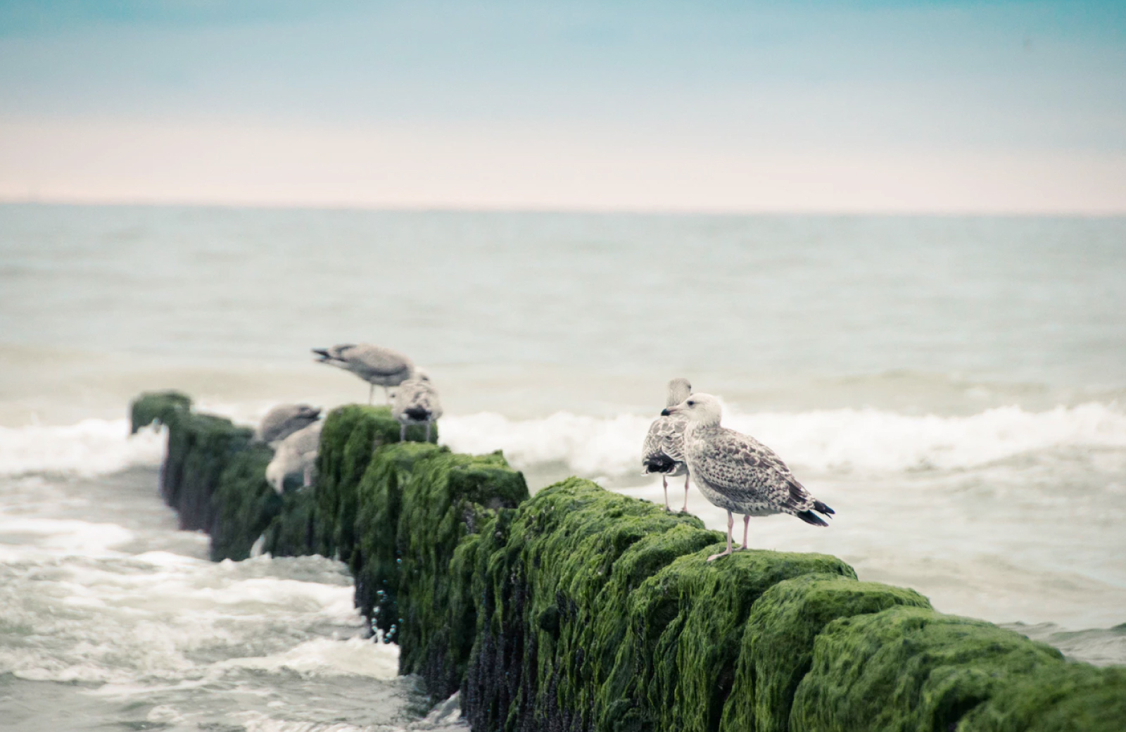 Norwalk Beaches - The Waypointe Apts