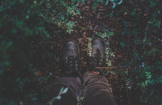 Hiking Trails in Fairfield County