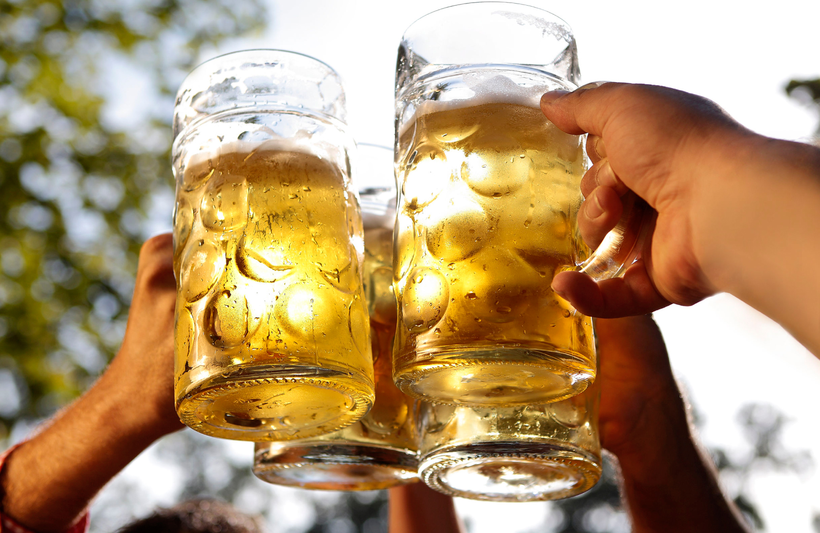 people raising glasses of beer nyc