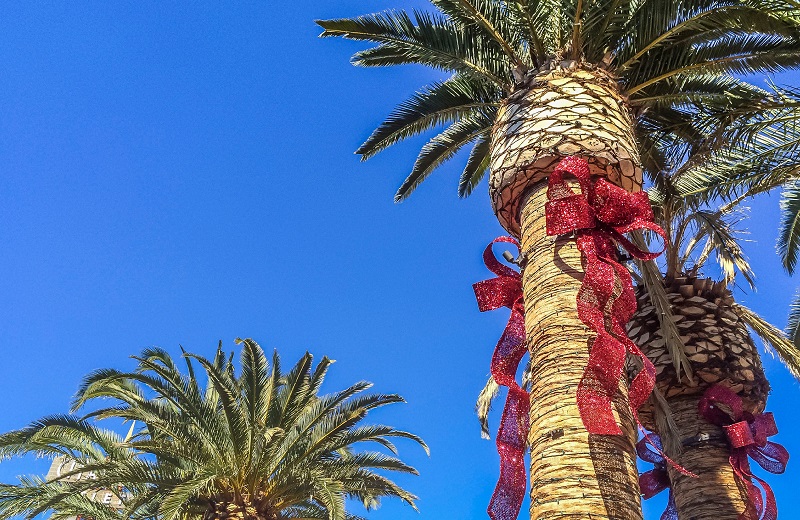 palm trees with red holiday ribbons high in the LA sky - The Madrid Westchester LA apts
