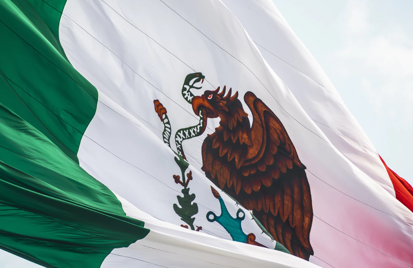 mexican flag with fireworks on background LA