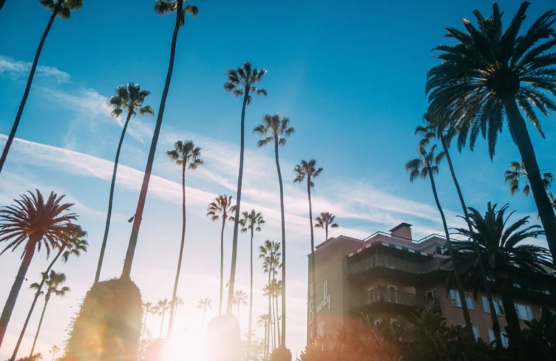 LA skyline at sunrise with a blue sky full of palm trees - The Madrid Westchester neighborhood