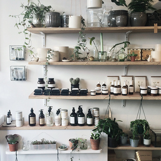 Products in apothecary jars and planters on a wall display shelf.