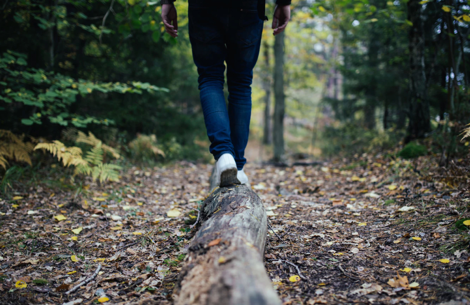person hiking in the woods altana glendale ca