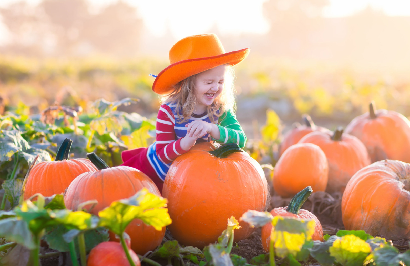 little girl in cowboy hat sitting on a large pumpkin kapilina hawaii