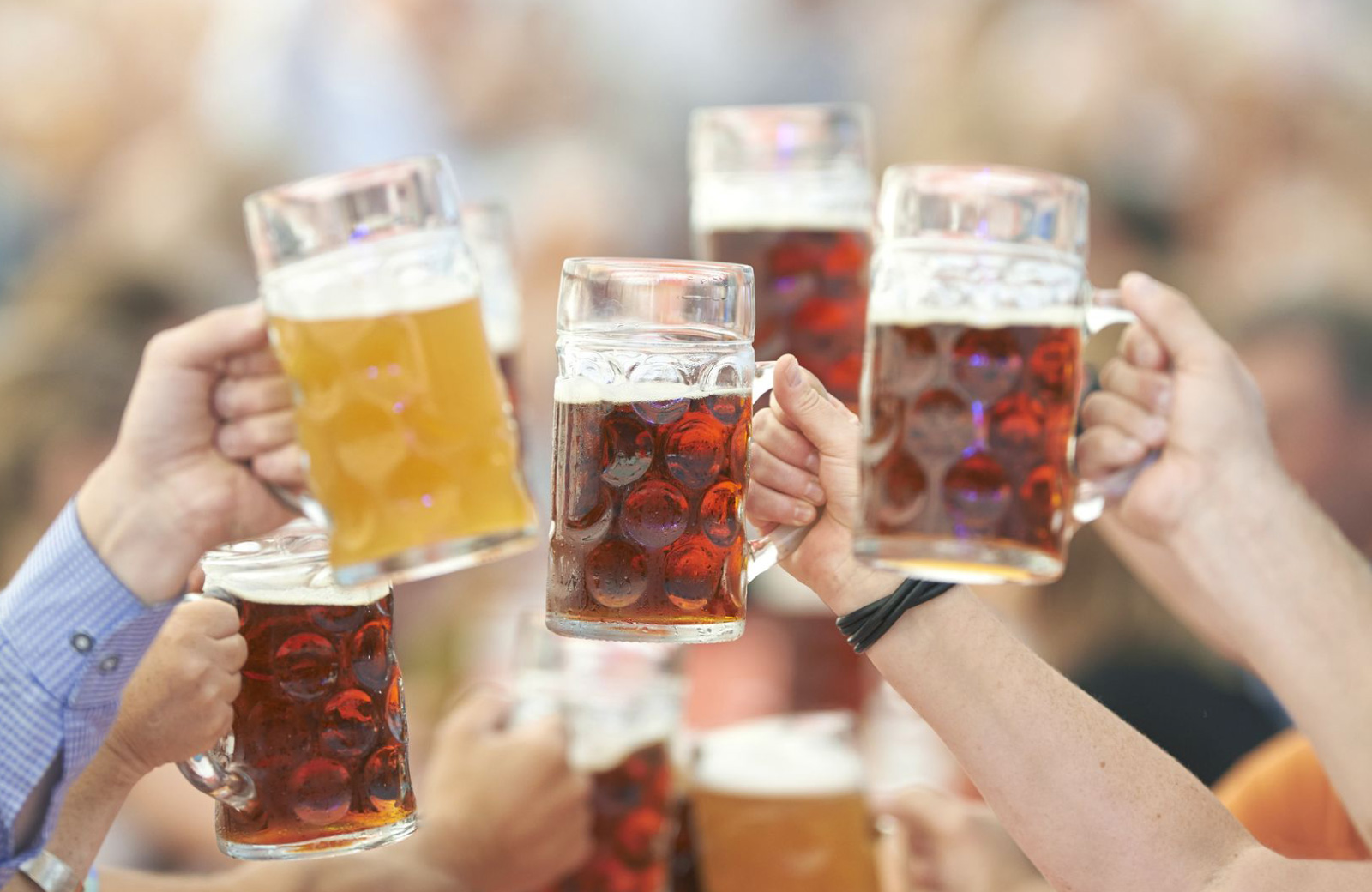 toast with beer mugs